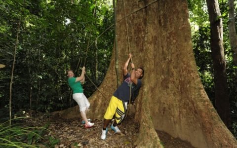Trekking Tours Trekking Tours