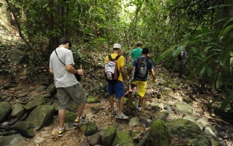 Jungle Trekking Jungle Trekking